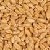 Grain Storage
