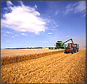 crop storage