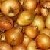 Onion Storage