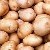 Potato storage